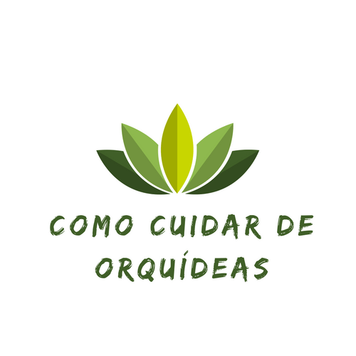 Como cuidar das orquídeas